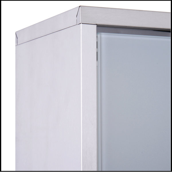 Wrought Studio kleankin Wall Mounted Medicine Locking Wall